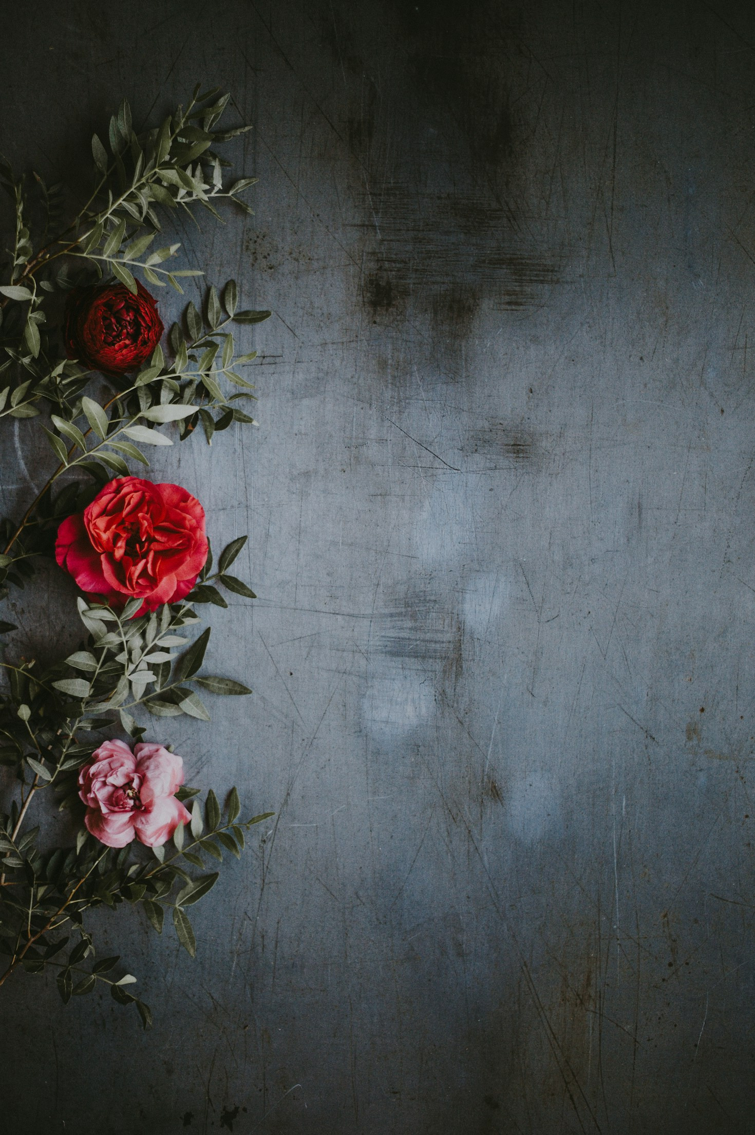 Exploring the Beauty of Inspirational Content